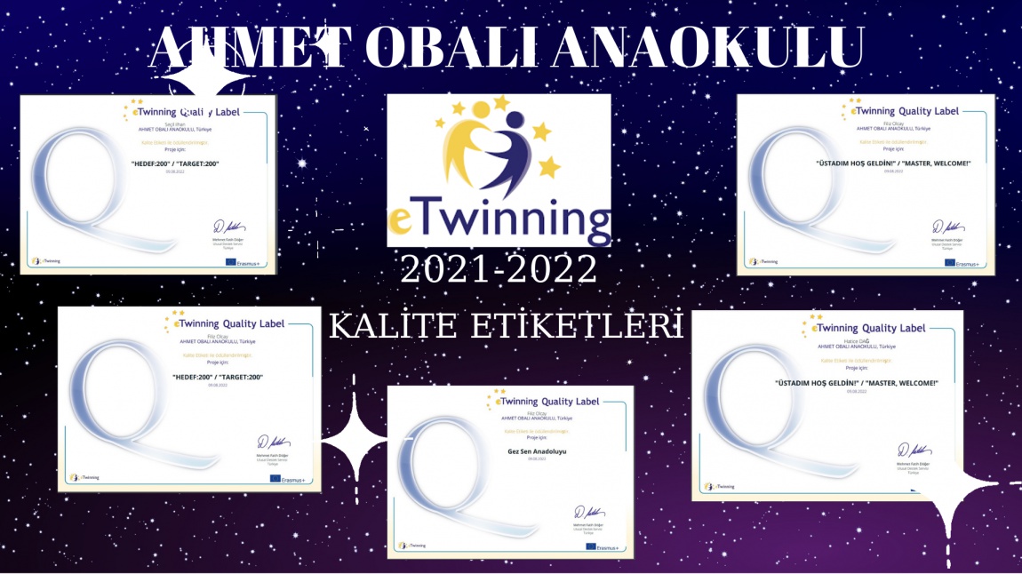 eTwinning 2012-2022 Kalite Etiketlerimiz
